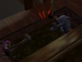 Snapshot_Camera2_059.jpg